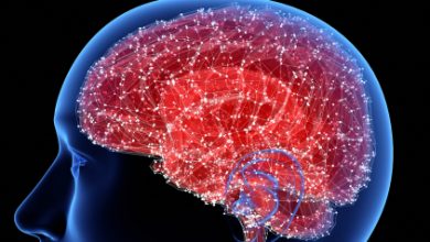 Photo of شركة أميركية ناشئة تعرض اختراع نسخة رقمية من المخ.. وهذه طريقتهم في خلق الوعي مرة أخرى