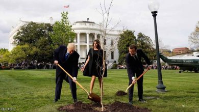 Photo of لغز اختفاء شجرة ترامب-ماكرون من البيت الأبيض