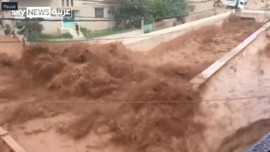 Photo of بالفيديو.. صيف لبنان يغدر بمنطقة “رأس بعلبك” ويغرقها