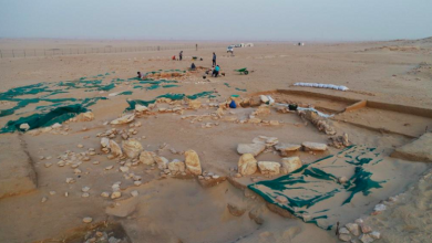 Photo of اكتشاف جديد في الكويت قد يغير طريقة تفكيرنا في الحضارة الإنسانية