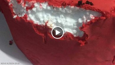 Photo of كعكة زفاف “مزيفة” تدمر ليلة العمر (فيديو)