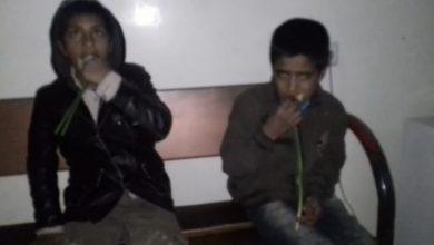 Photo of إجبار طفلين في إيران على أكل الورد بعد اعتقالهما (فيديو)